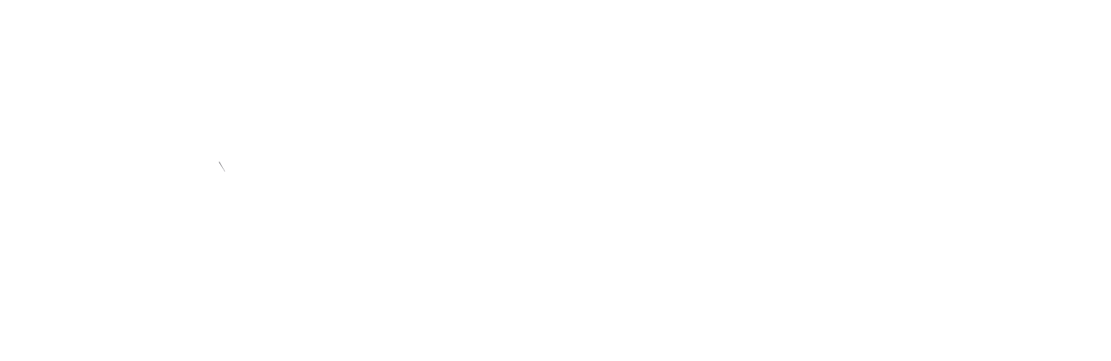 EksCis Logo White
